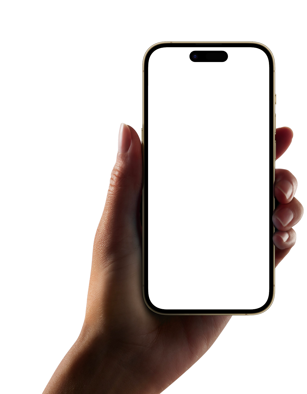 Budgefy app screen shown in hand